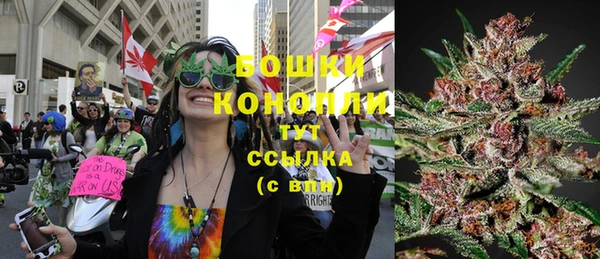 PSILOCYBIN Волосово